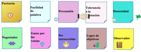 Características del Ejecutivo de Ventas