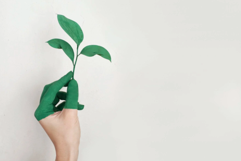 Desarrollo sustentable empresa