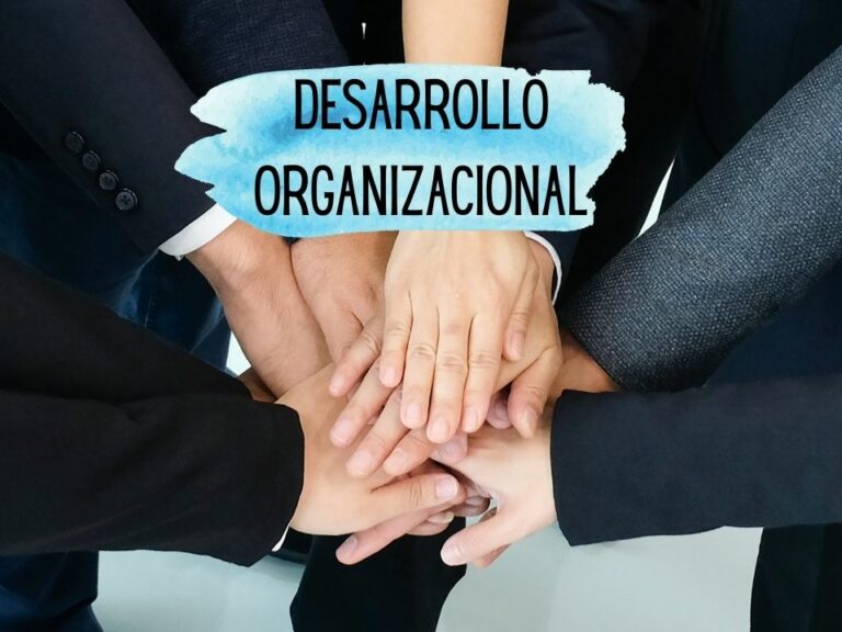 Desarrollo Organizacional