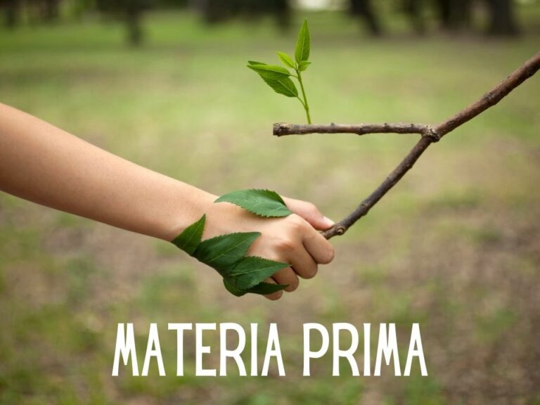 Portada de Materia prima