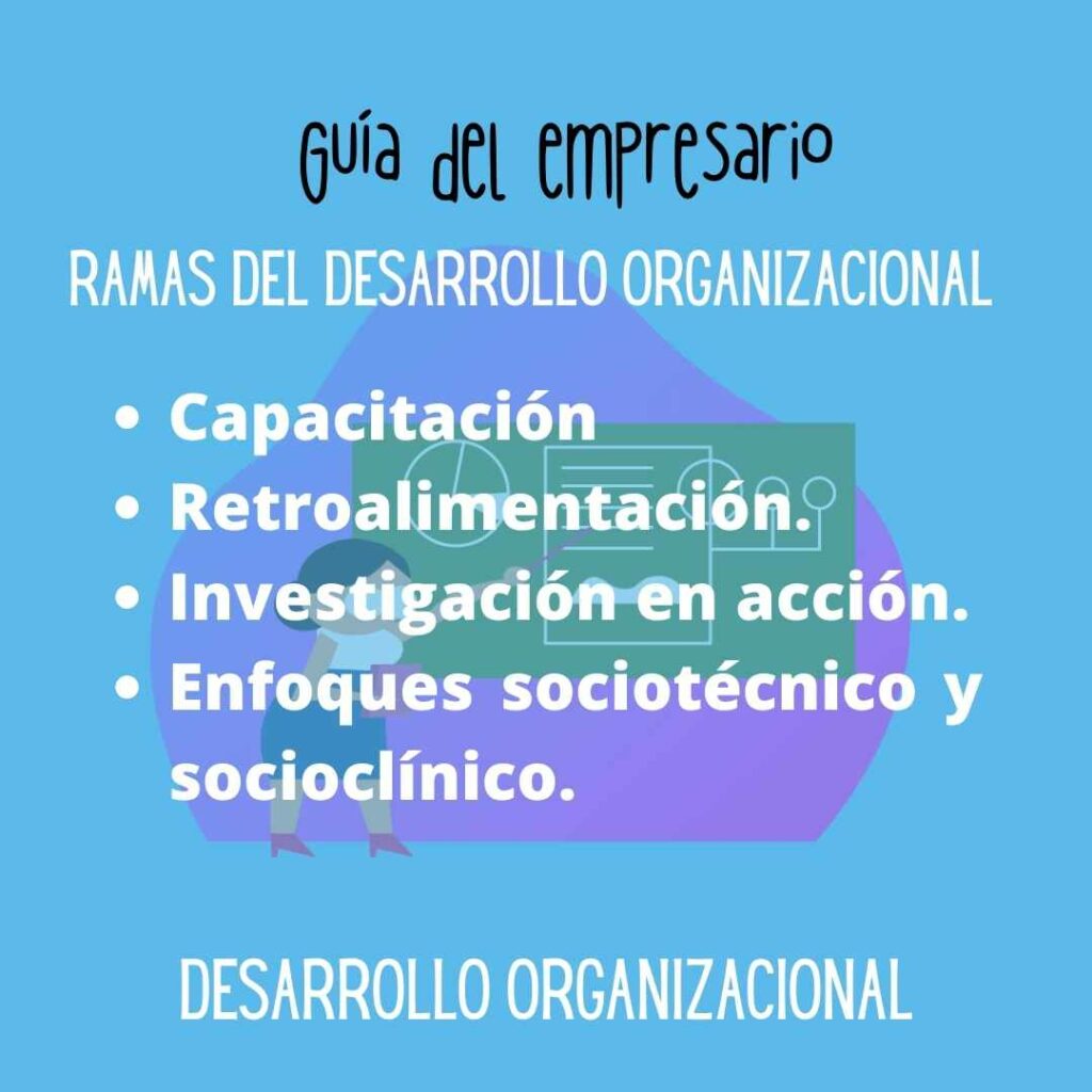 Desarrollo Organizacional: Qué Es Y Beneficios En La Empresa – BXEQRA